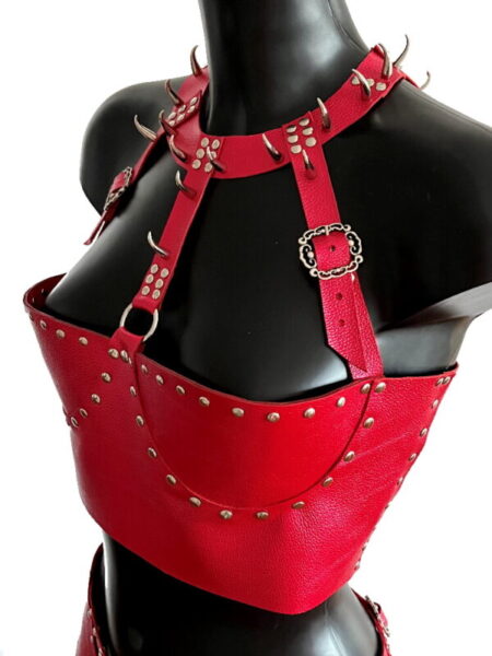Red leather copmlect